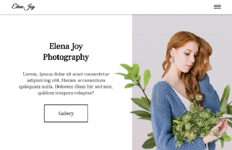 Photography website preview